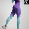 Women's Fitness Clothing Gym Outfit and Yoga Workout Set – Seamless Crop Top and High Waisted Leggings Ombre Gradient