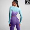 Women's Fitness Clothing Gym Outfit and Yoga Workout Set – Seamless Crop Top and High Waisted Leggings Ombre Gradient