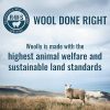 Women's Merino T-Shirt by Woolly | RWS Certified | Soft, Stink Free, Seattle Designed