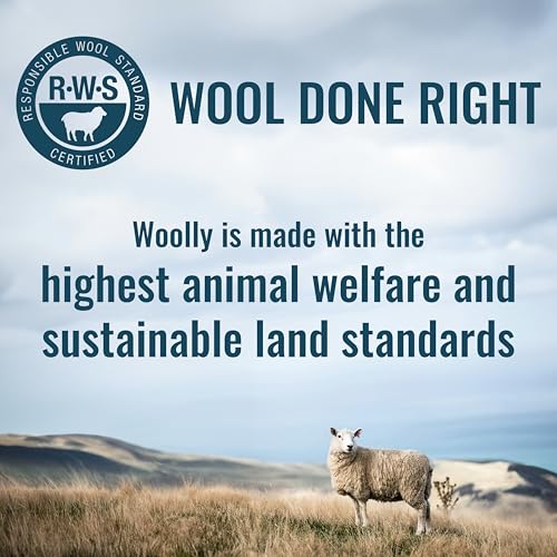 Women's Merino T-Shirt by Woolly | RWS Certified | Soft, Stink Free, Seattle Designed